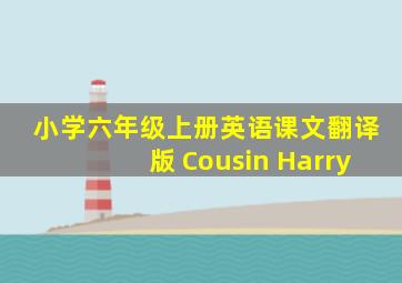 小学六年级上册英语课文翻译版 Cousin Harry